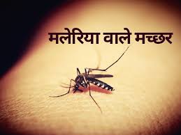 सिवान में मलेरिया पर लगाम लगाने की कवायद तेज